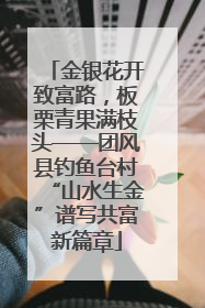 金银花开致富路，板栗青果满枝头——团风县钓鱼台村“山水生金”谱写共富新篇章