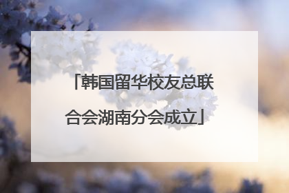 韩国留华校友总联合会湖南分会成立