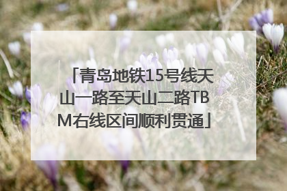 青岛地铁15号线天山一路至天山二路TBM右线区间顺利贯通