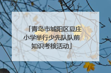 青岛市城阳区夏庄小学举行少先队队前知识考核活动