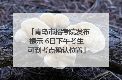 青岛市招考院发布提示 6日下午考生可到考点确认位置