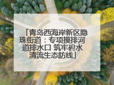 青岛西海岸新区隐珠街道：专项摸排河道排水口 筑牢碧水清流生态防线