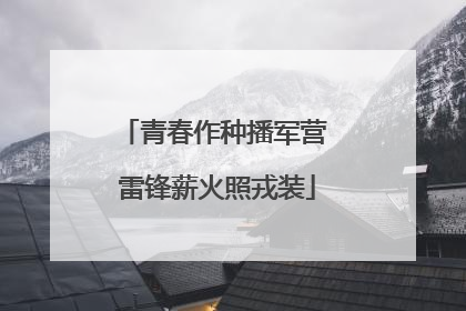 青春作种播军营 雷锋薪火照戎装