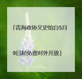 青海政协文史馆自5月9日起免费对外开放
