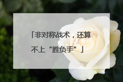 非对称战术，还算不上“胜负手”