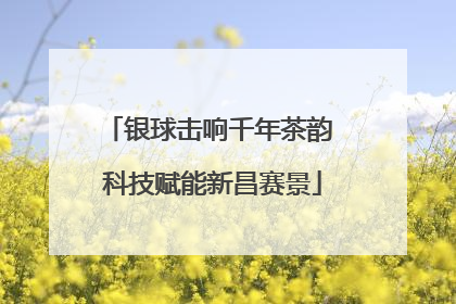 银球击响千年茶韵 科技赋能新昌赛景
