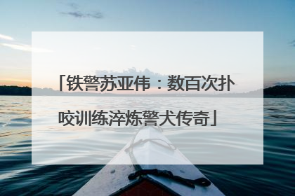 铁警苏亚伟：数百次扑咬训练淬炼警犬传奇