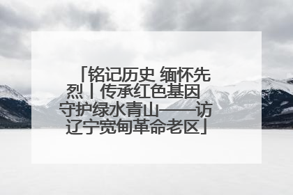 铭记历史 缅怀先烈丨传承红色基因 守护绿水青山——访辽宁宽甸革命老区