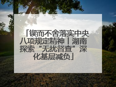 锲而不舍落实中央八项规定精神丨湖南探索“无扰督查”深化基层减负
