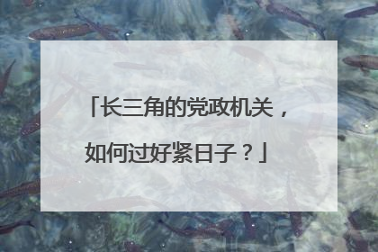 长三角的党政机关，如何过好紧日子？