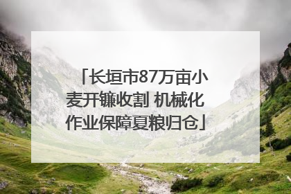 长垣市87万亩小麦开镰收割 机械化作业保障夏粮归仓