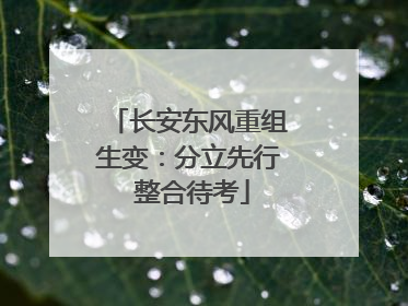 长安东风重组生变：分立先行 整合待考