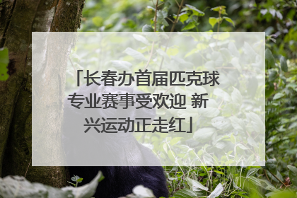 长春办首届匹克球专业赛事受欢迎 新兴运动正走红
