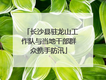 长沙县驻龙山工作队与当地干部群众携手防汛