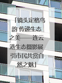 镜头定格鸟韵 传递生态之美——连云港生态摄影展引市民共赏自然之魅