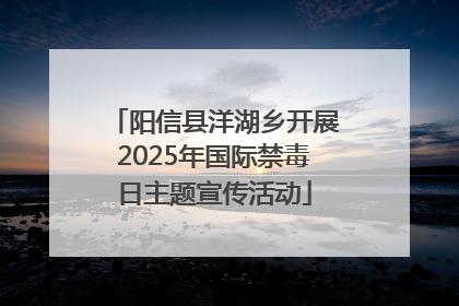 阳信县洋湖乡开展2025年国际禁毒日主题宣传活动