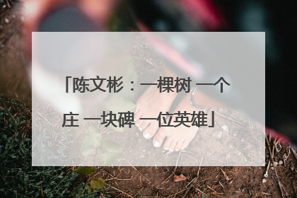 陈文彬：一棵树 一个庄 一块碑 一位英雄