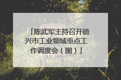 陈武军主持召开德兴市工业领域重点工作调度会（图）