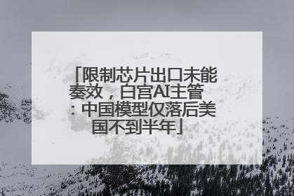 限制芯片出口未能奏效，白宫AI主管：中国模型仅落后美国不到半年