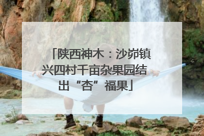 陕西神木：沙峁镇兴四村千亩杂果园结出“杏”福果