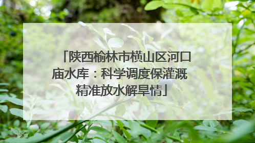 陕西榆林市横山区河口庙水库：科学调度保灌溉 精准放水解旱情