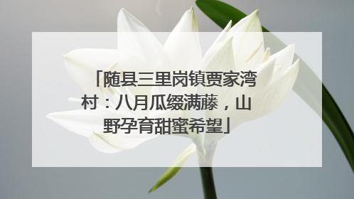 随县三里岗镇贾家湾村：八月瓜缀满藤，山野孕育甜蜜希望