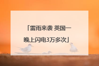 雷雨来袭 英国一晚上闪电3万多次