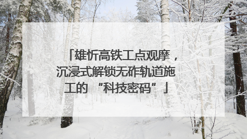 雄忻高铁工点观摩，沉浸式解锁无砟轨道施工的 “科技密码”
