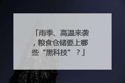 雨季、高温来袭，粮食仓储要上哪些“黑科技”？