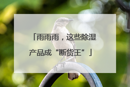 雨雨雨，这些除湿产品成“断货王”