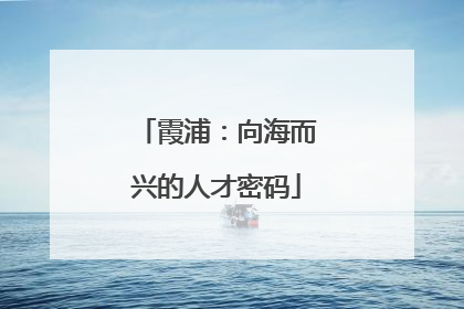 霞浦：向海而兴的人才密码