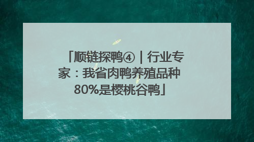 顺链探鸭④｜行业专家：我省肉鸭养殖品种80%是樱桃谷鸭
