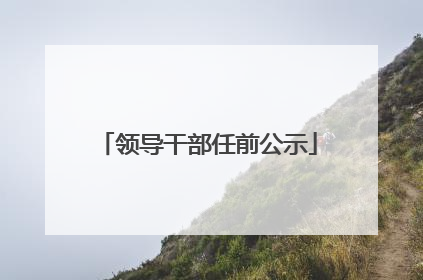 领导干部任前公示