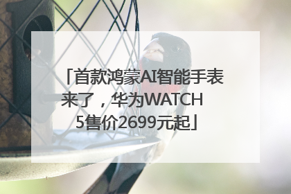 首款鸿蒙AI智能手表来了，华为WATCH 5售价2699元起
