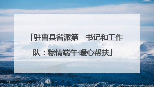 驻曹县省派第一书记和工作队：粽情端午·暖心帮扶