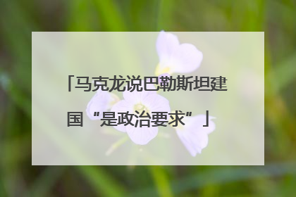 马克龙说巴勒斯坦建国“是政治要求”