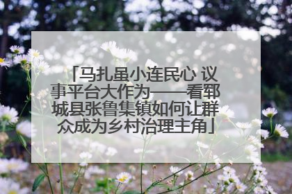 马扎虽小连民心 议事平台大作为——看郓城县张鲁集镇如何让群众成为乡村治理主角