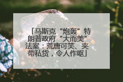 马斯克“炮轰”特朗普政府“大而美”法案：荒唐可笑、夹带私货，令人作呕