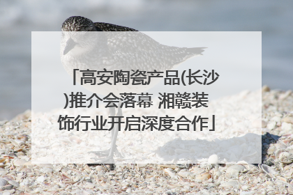 高安陶瓷产品(长沙)推介会落幕 湘赣装饰行业开启深度合作