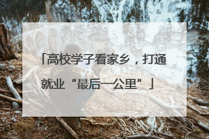 高校学子看家乡，打通就业“最后一公里”