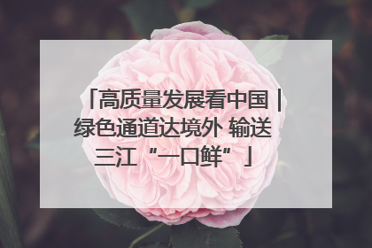 高质量发展看中国｜绿色通道达境外 输送三江“一口鲜”