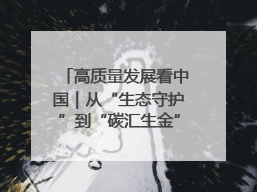 高质量发展看中国｜从“生态守护”到“碳汇生金”——中国石油大庆油田绿色蝶变