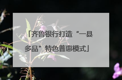 齐鲁银行打造“一县多品”特色普惠模式