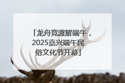 龙舟竞渡耀端午，2025嘉兴端午民俗文化节开幕