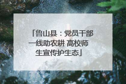 鲁山县：党员干部一线助农耕 高校师生宣传护生态