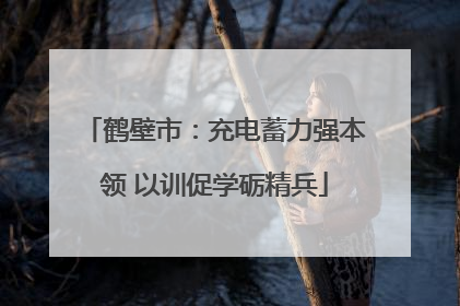 鹤壁市：充电蓄力强本领 以训促学砺精兵