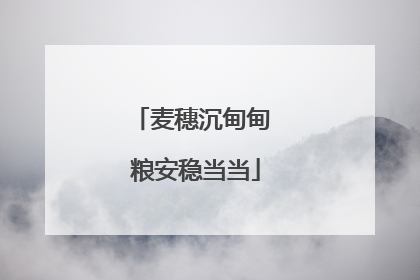 麦穗沉甸甸 粮安稳当当