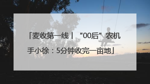 麦收第一线丨“00后”农机手小徐：5分钟收完一亩地