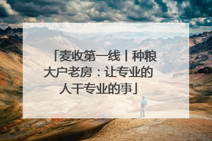 麦收第一线丨种粮大户老房：让专业的人干专业的事