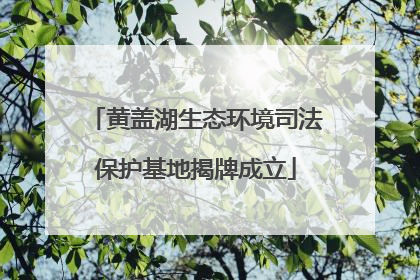 黄盖湖生态环境司法保护基地揭牌成立
